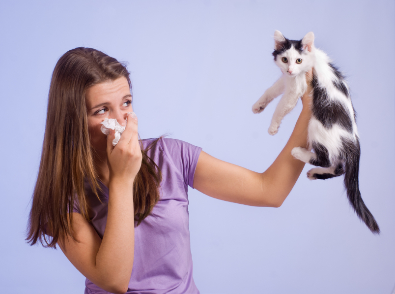 pet-allergy-how-to-deal-with-pet-allergies